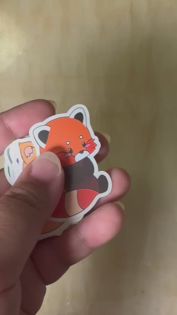 Cute Red Panda Stickers, Theme Pandas Vinyl Sticker Pack | Redpaw Pals Sticker Collection
